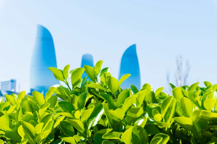 Green leaves frame the flame towers in baku.